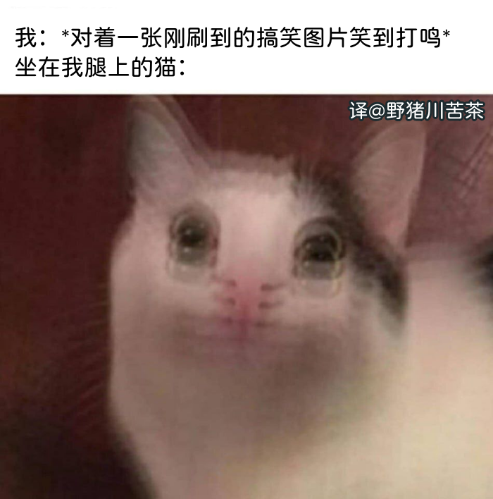 有哪些跟游戏相关的梗图、meme或搞笑图? - 知乎