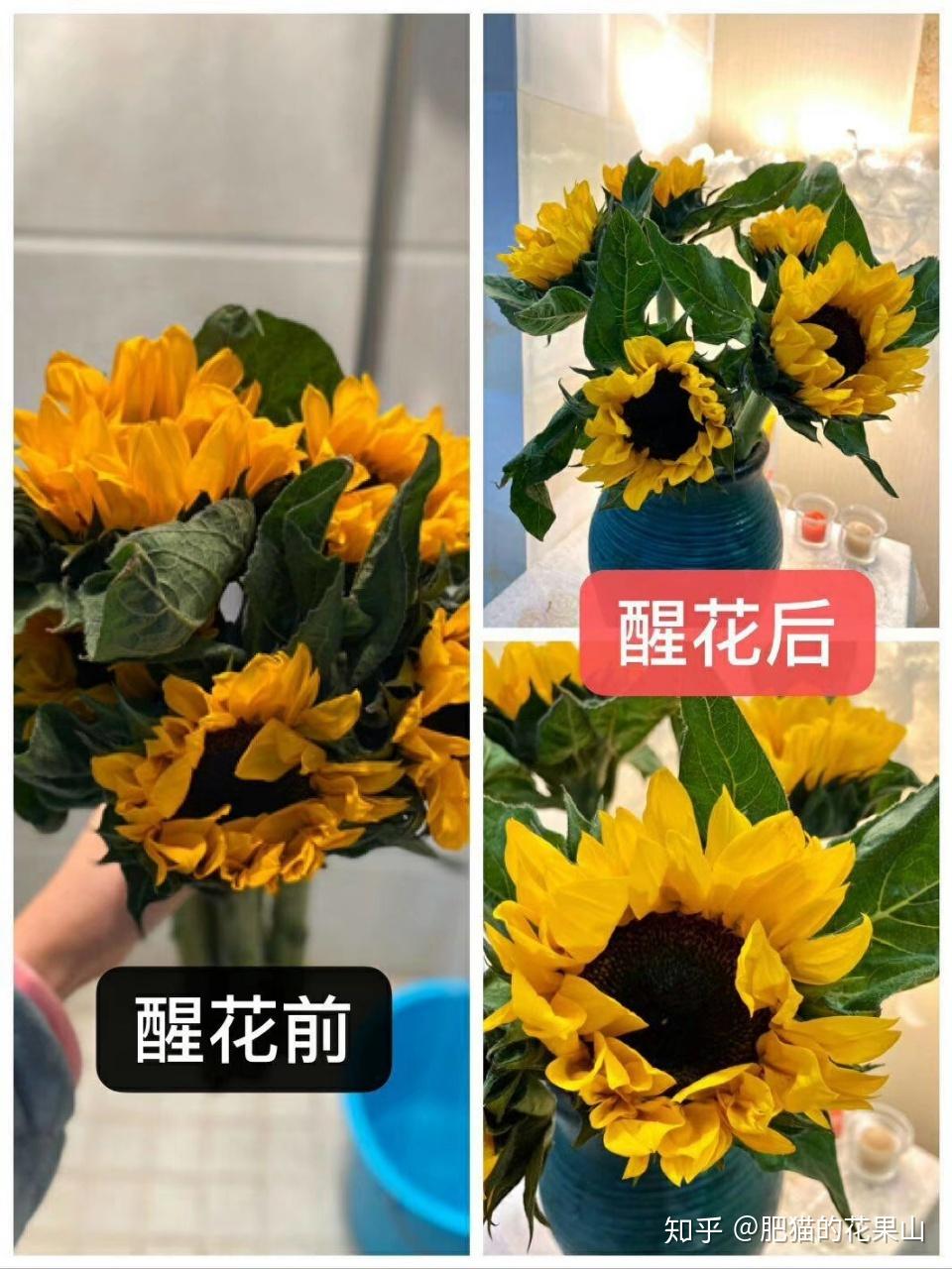 v2-3a60534fe2f2cb470a9df32d1282dd94_r.jpg