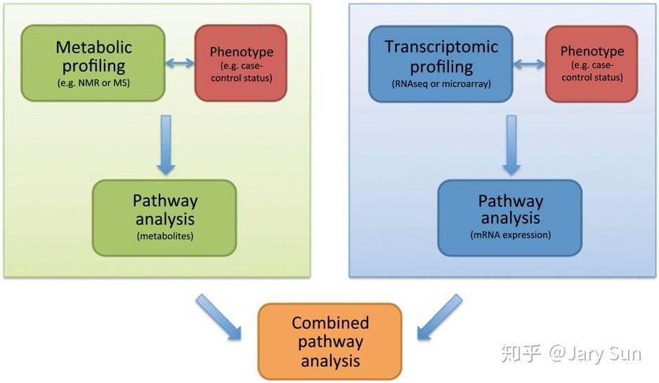 【代谢组学】代谢组学与其他组学数据的整合 - 知乎