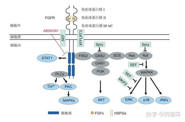 和誉生物终究难逃港股18A“破发”诅咒 - 知乎