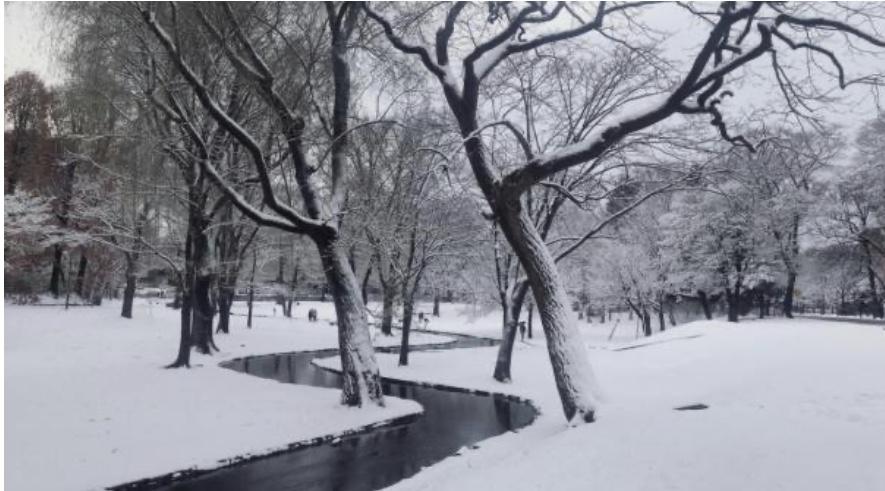 青藤合格专访 北海道大学国際広報メディア 観光学院在练习中体验 在体验中思考 知乎