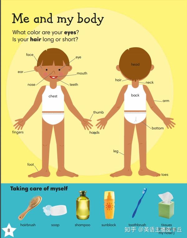 1000个常用英语单词绘本,最适合零基础的图解字典(附电子版)