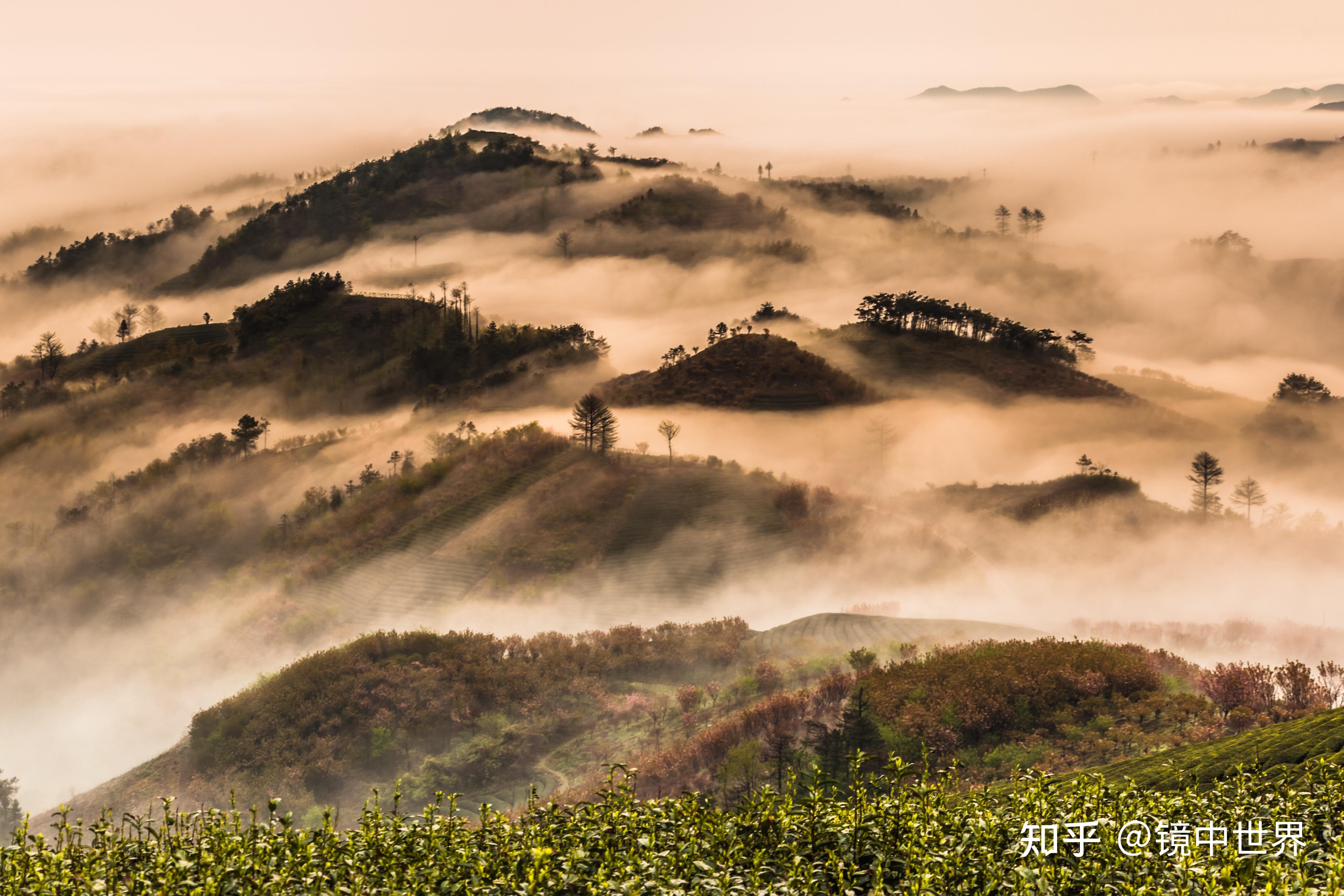 追逐美女羞涩四明山云雾