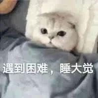 超级可爱的猫咪表情包 萌萌哒 400 张 知乎 超级可爱的猫咪表情包 萌萌哒 400 张 知乎