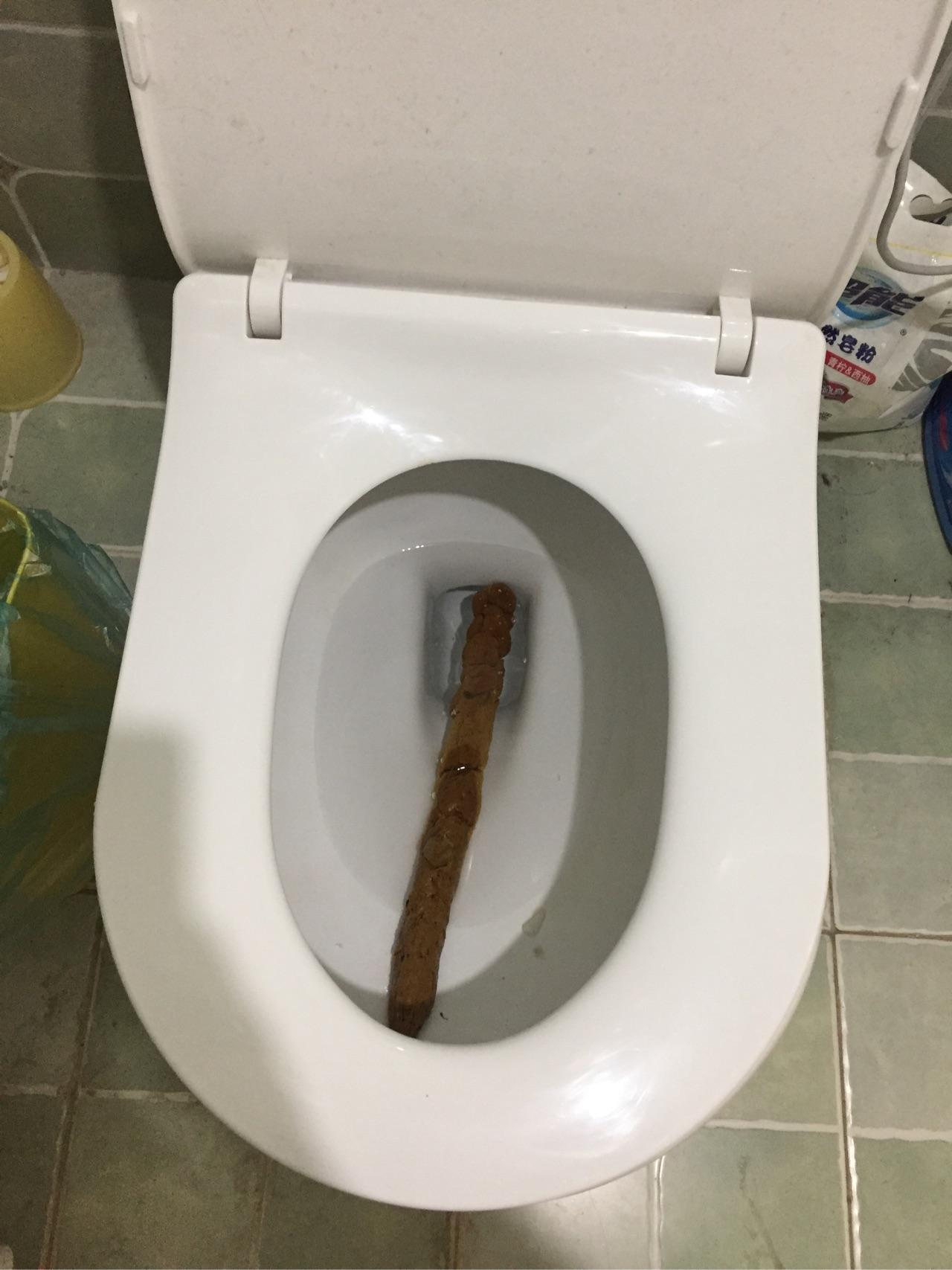 如何拉出一根50cm长的屎