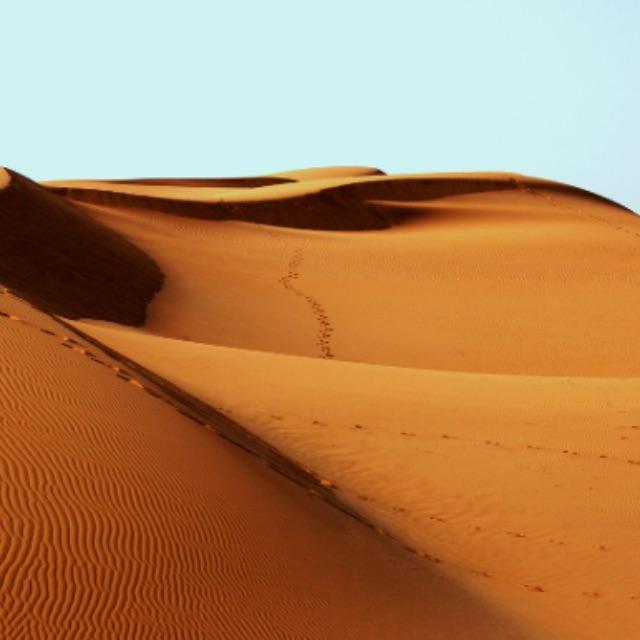 大海里存在不存在跟陆地荒漠一样生物稀少的地方？