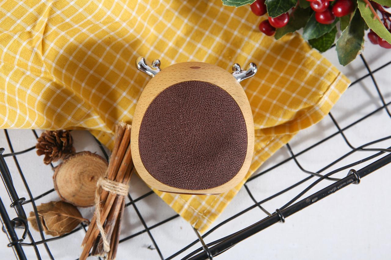 广场舞音响什么牌子的好