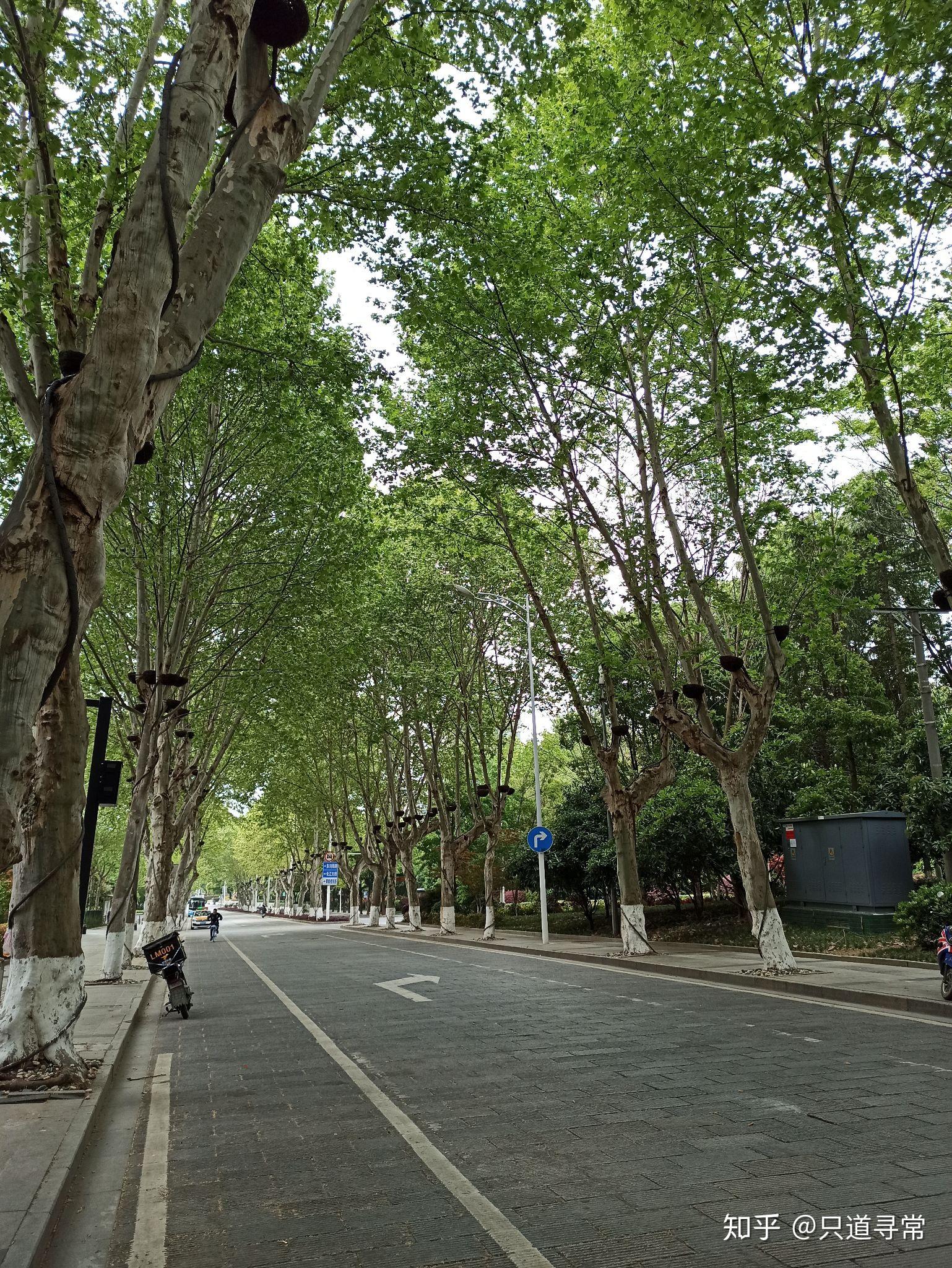  疫情过后武汉有什么变化吗知乎(疫情后武汉强势崛起)