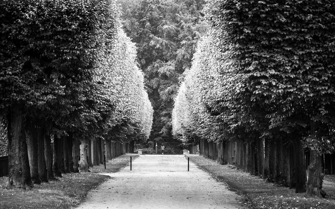 到圆融时代广场什么路