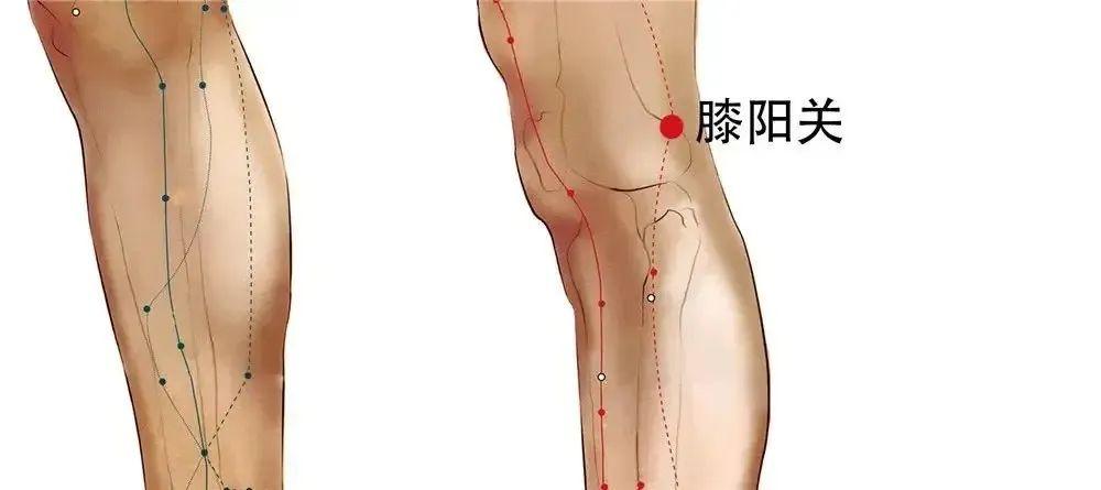 其实是它在求救,经常艾灸让膝盖舒服起来