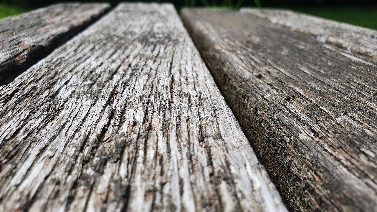 2. 虎斑木产地揭秘