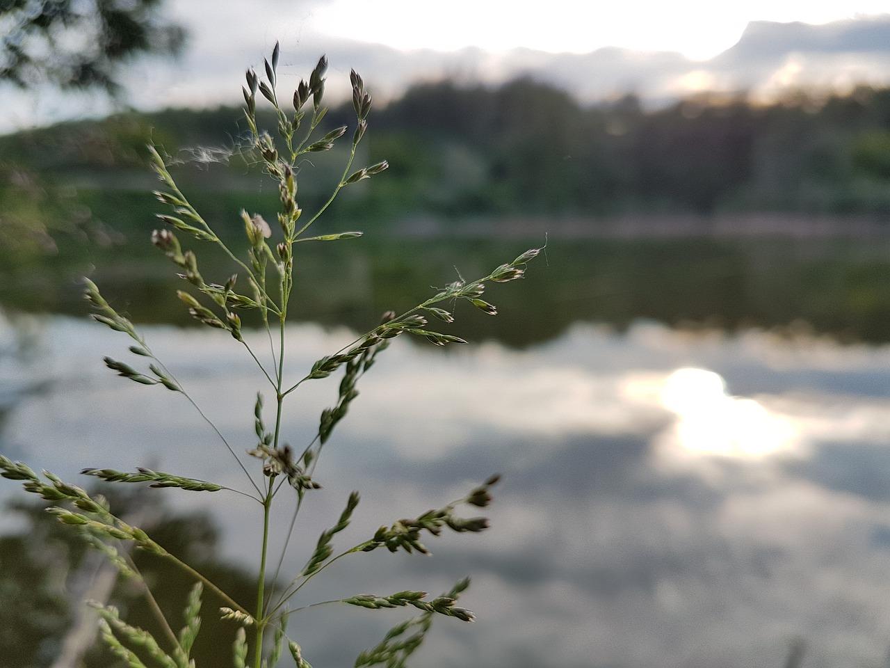 成都中和哪里有湖