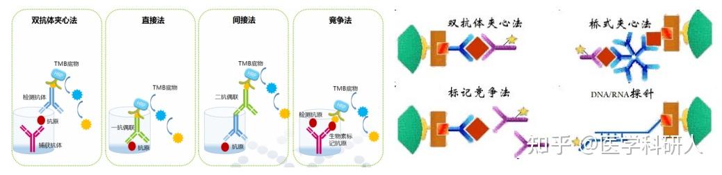 干货|免疫组化（IHC），原来如此简单！ - 知乎