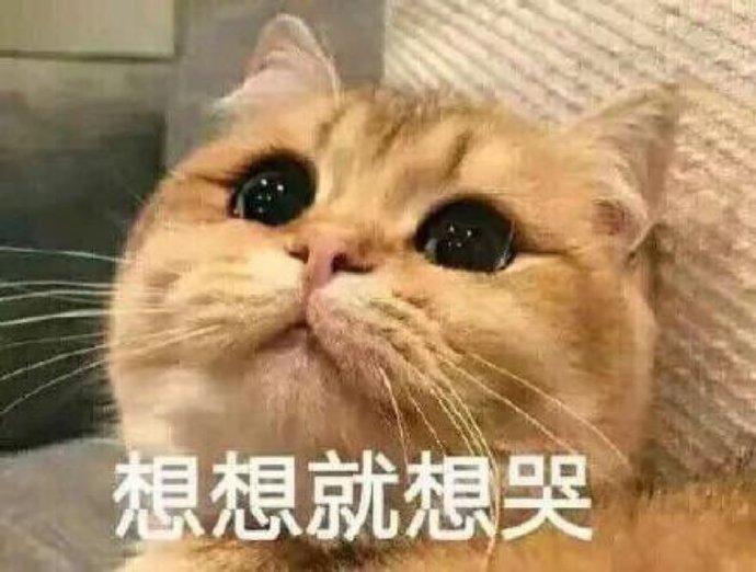沙雕打更文案,沙雕文案逗比