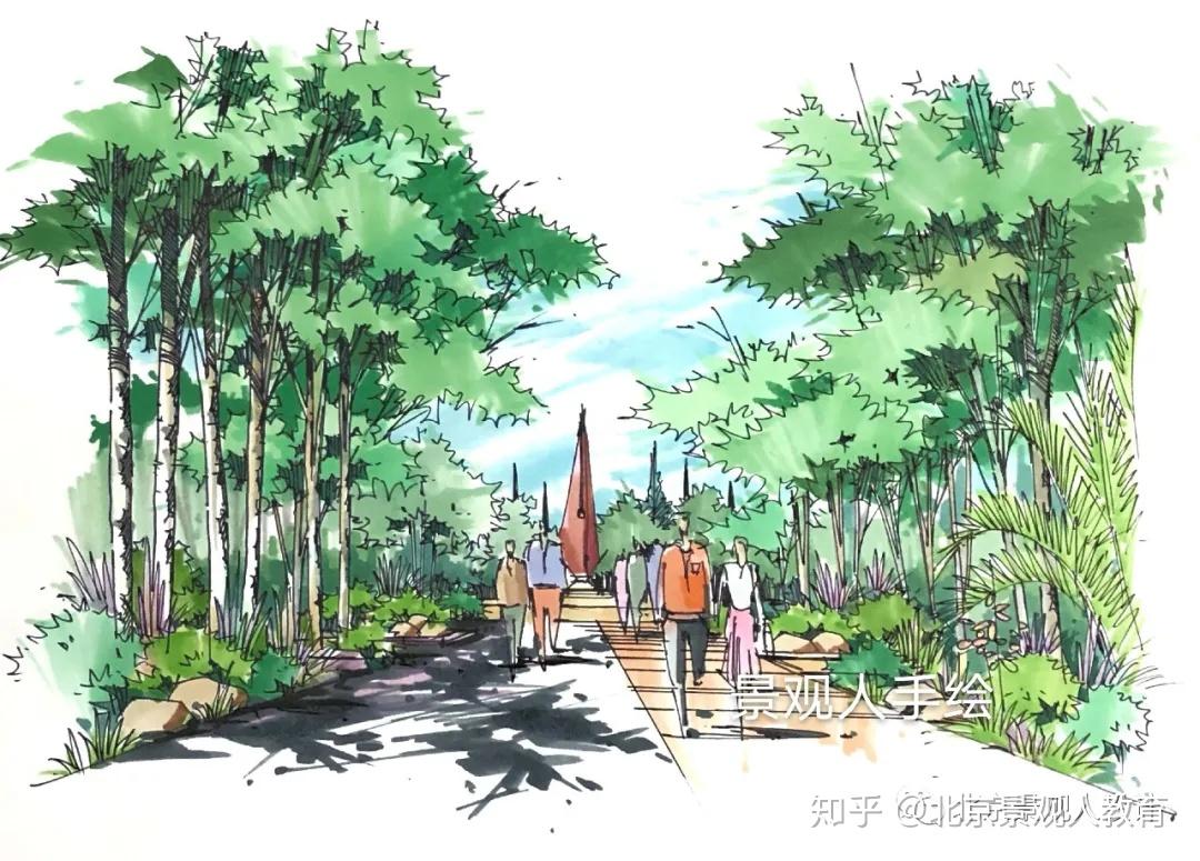 2021考研景观人20张快速上手节点简易效果图供你参考