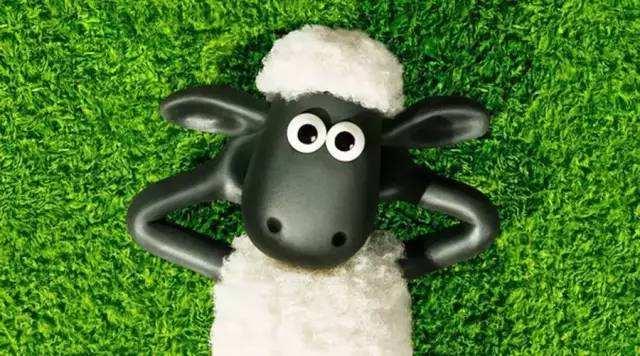 去英国旅游别忘了苏格兰,来一场黑脸羊的探寻之旅