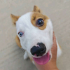 user-profile-image