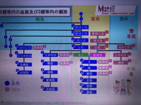 蜂蜜与四叶草第一季 动画 知乎