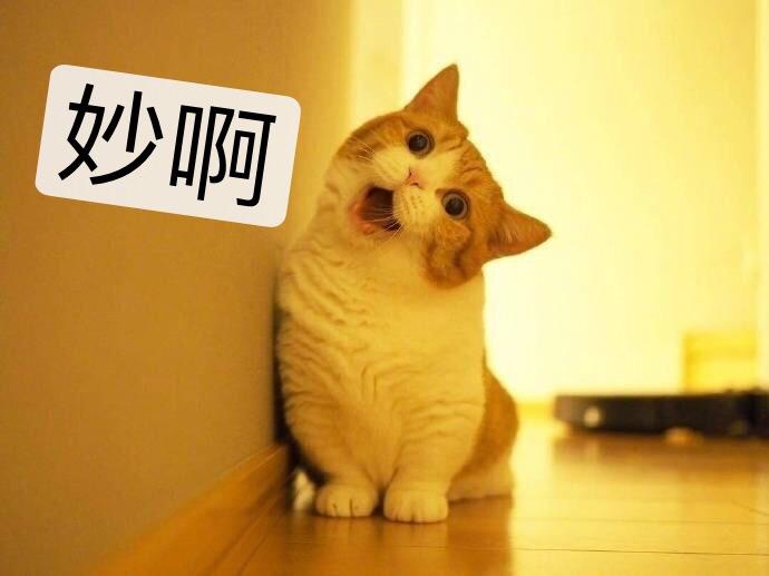 中山大学校内说粤语还是普通话?