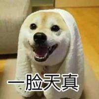 Zhihu profile picture for @saki