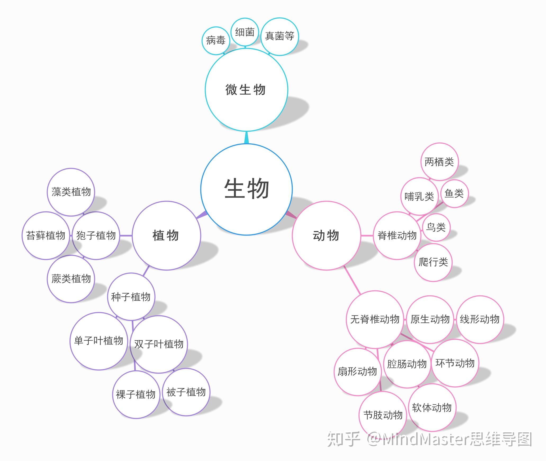 mindmaster入门教程玩转九种思维结构搞定思维导图很简单