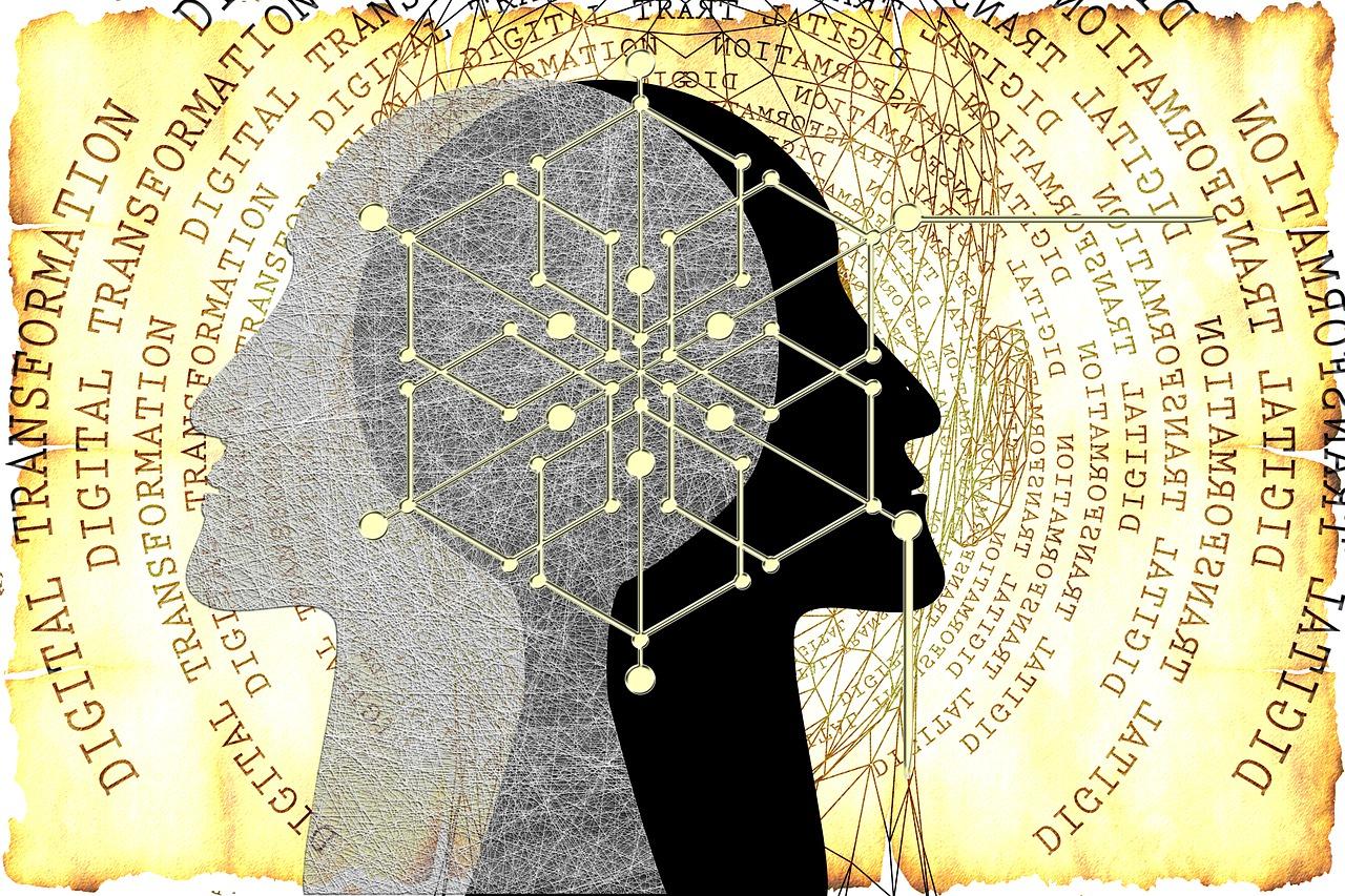 1. 黄毛掌画法步骤