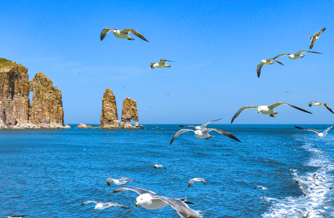 的匠心传承;仙境烟台自带滤镜,这里的大海和海岛总能带来别样的惬意