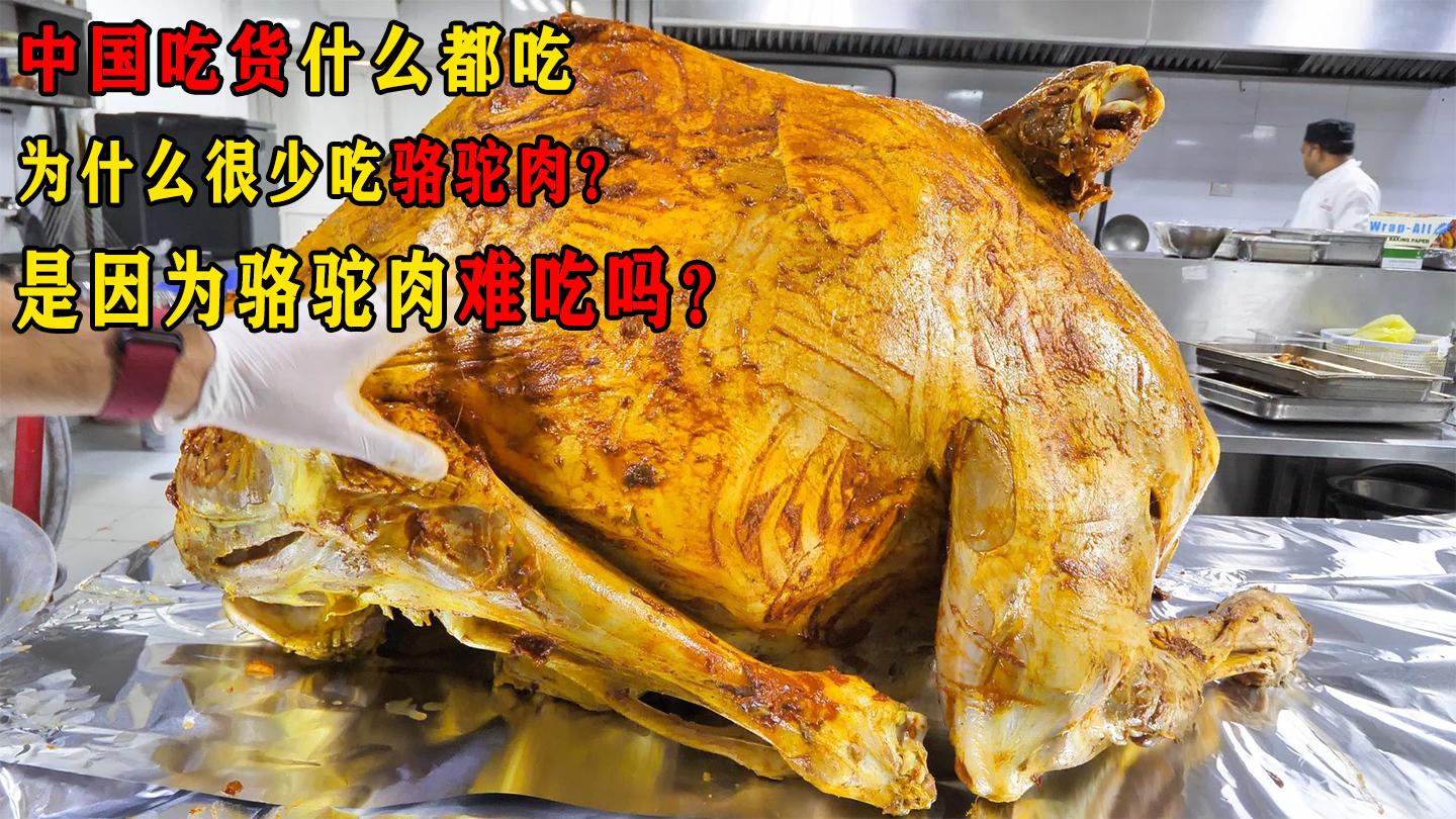 如何做駱駝肉才好吃,像普通豬肉那樣嗎? - 知乎