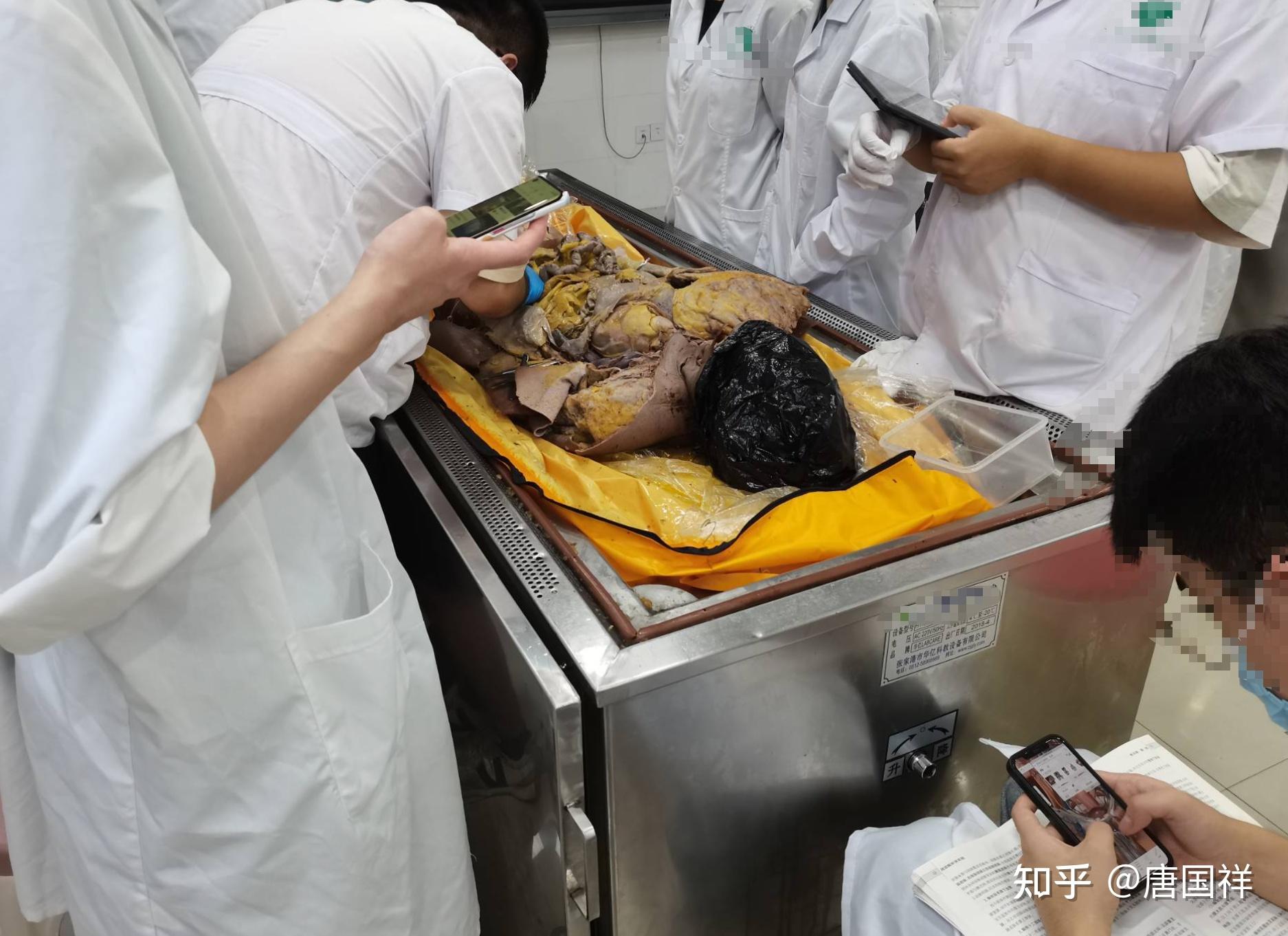 ——大三《局部解剖学》感受