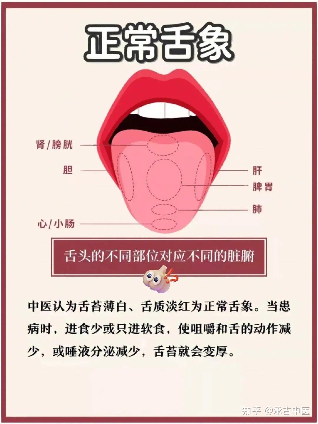 舌诊的原理 - 知乎