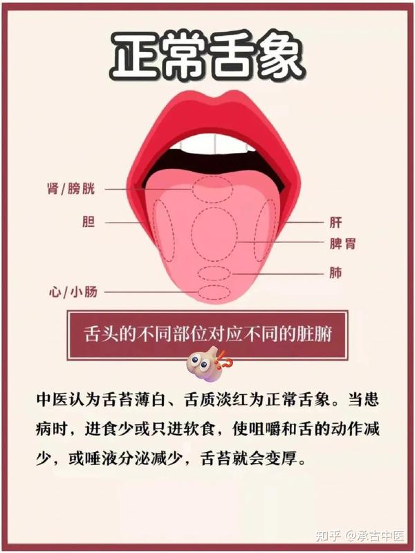 舌诊的原理 - 知乎