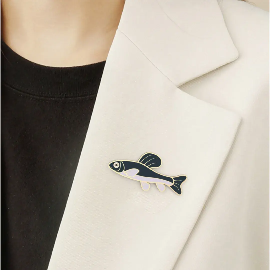 白洋淀鱼谱徽章