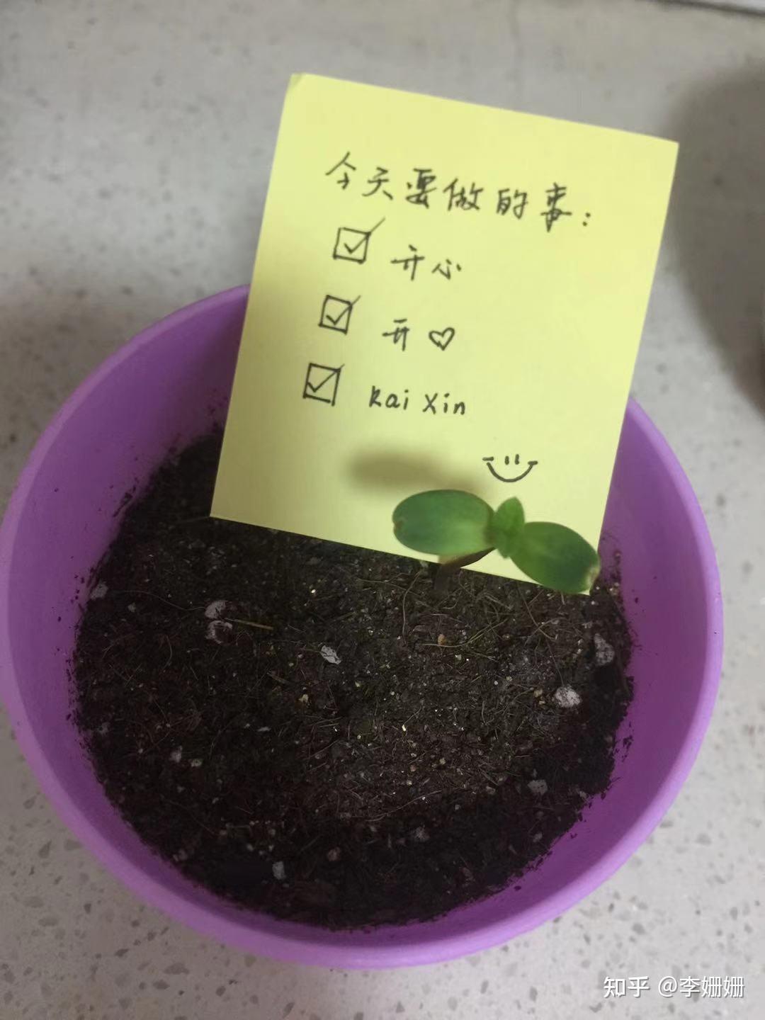 作为一个普通人,如何在平淡生活中发现细微美好之处? - 知乎