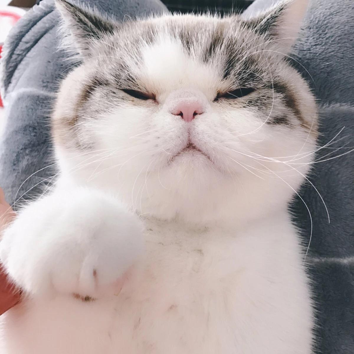 2015年毕业的失恋我患了焦虑症抑郁症,自己通