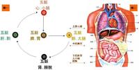 中焦不通是怎么回事