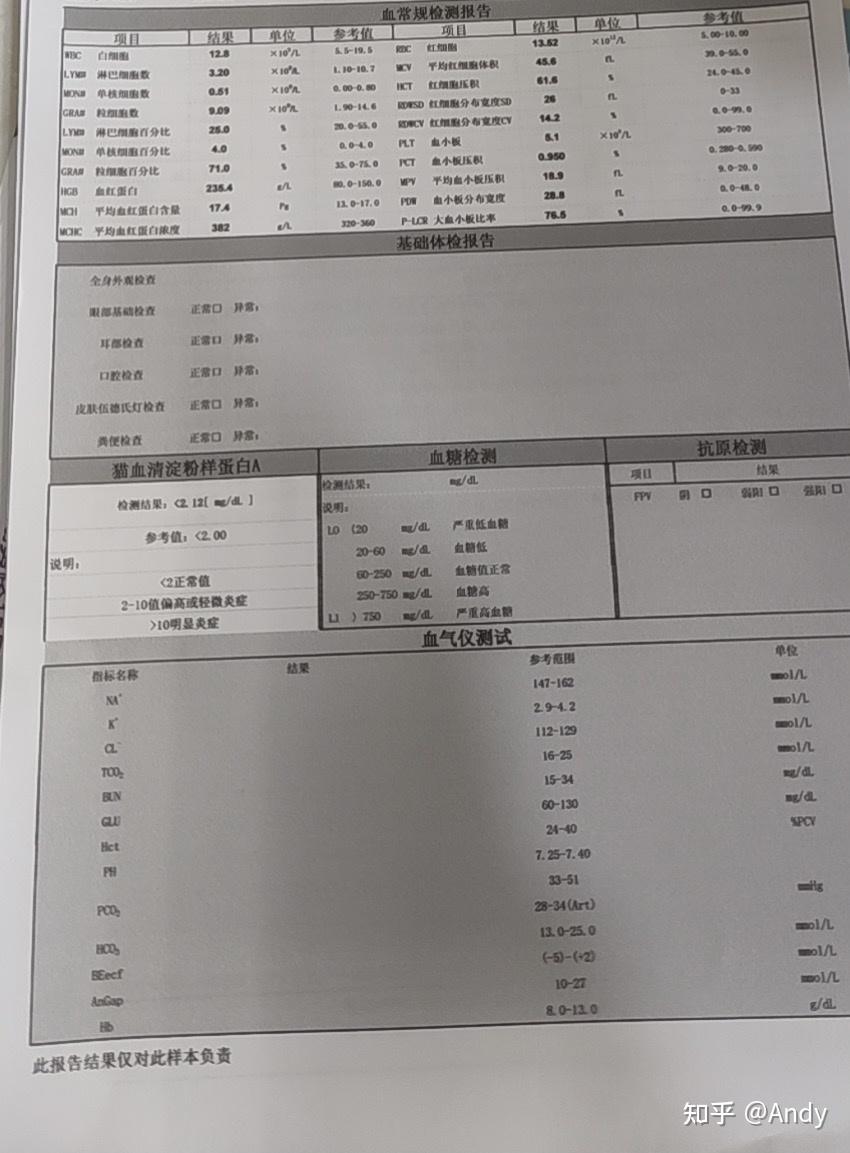 在血常規報告裡也有好多個異常值,血紅蛋白235.