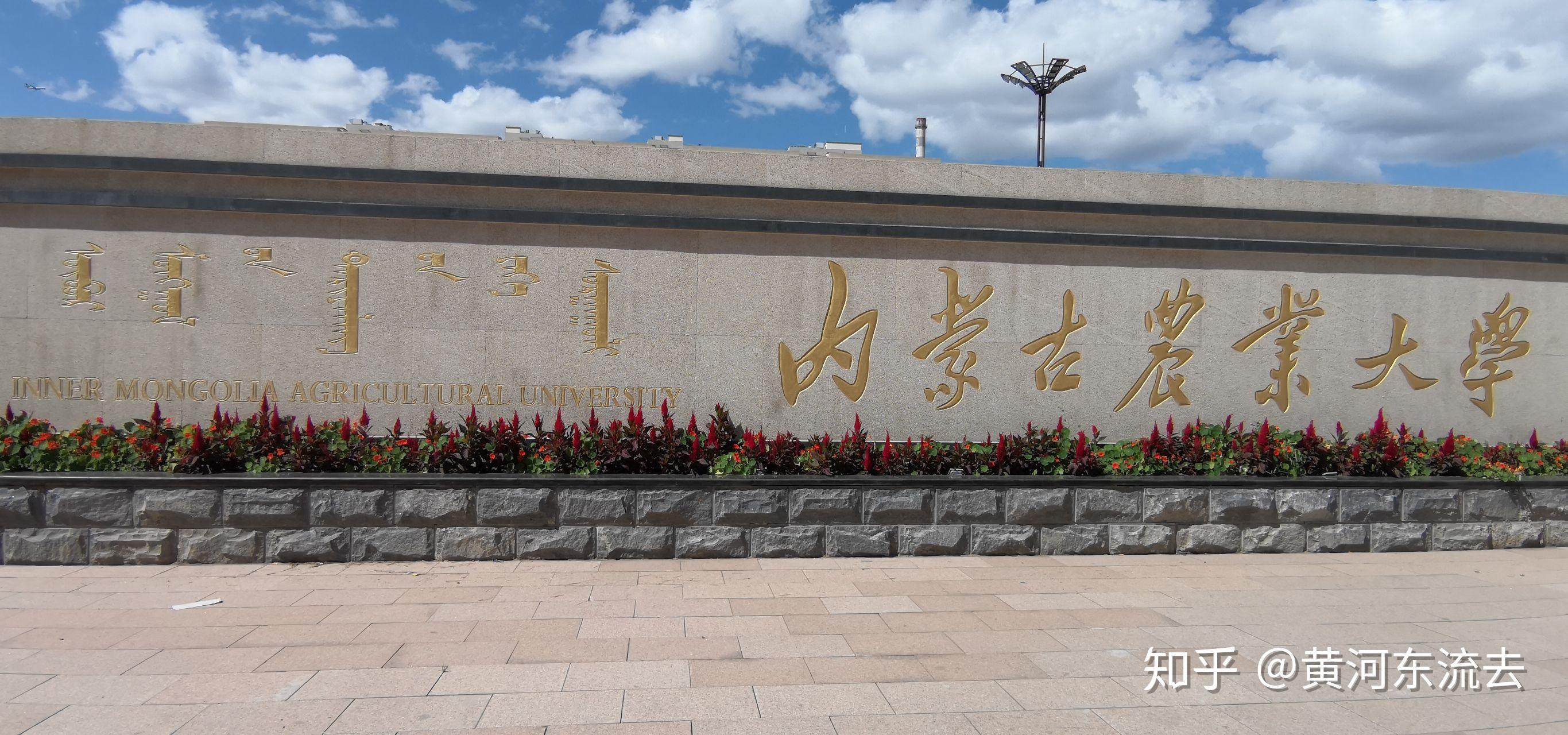 我的内农印象 - 知乎