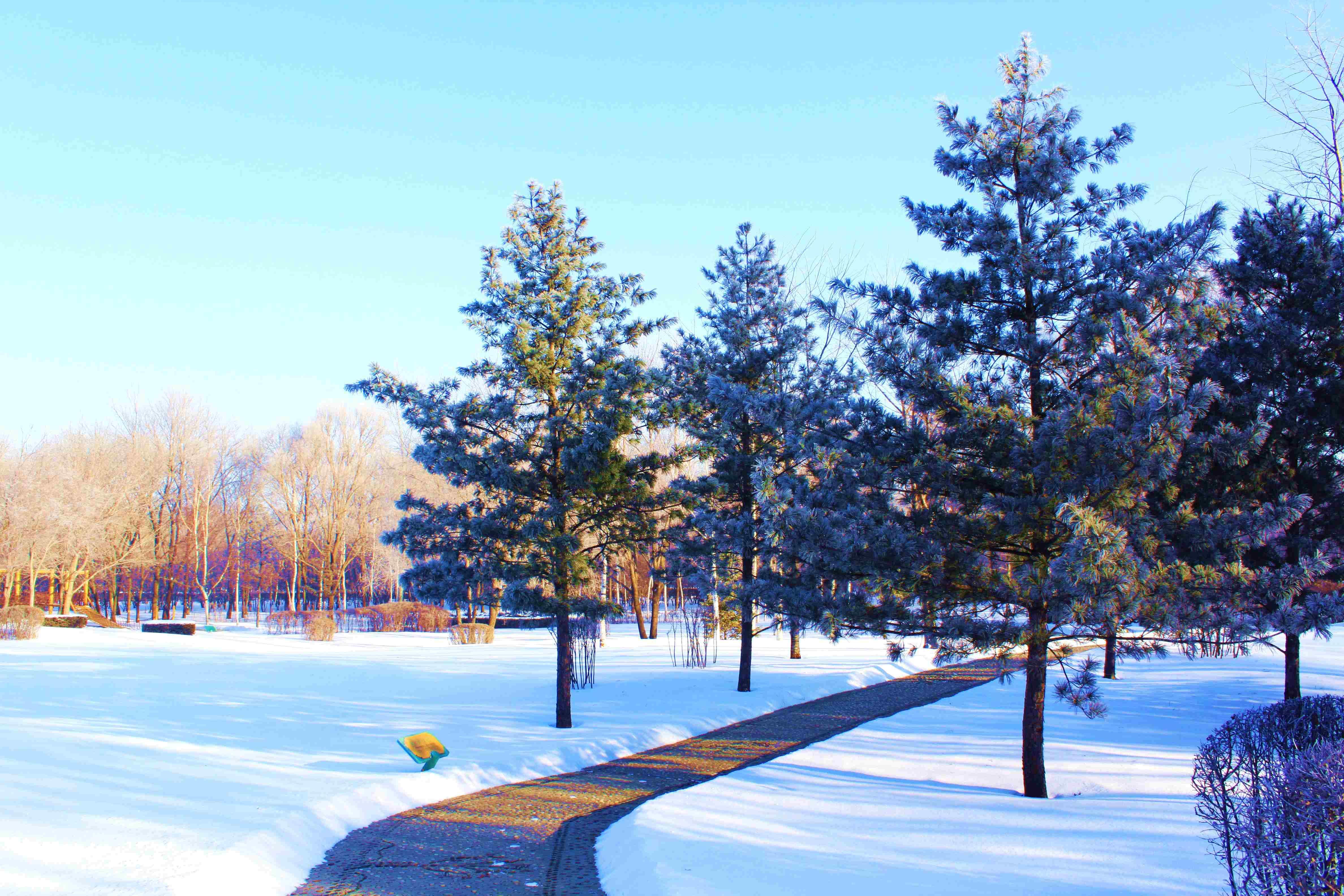 哈尔滨旅行有哪些攻略?有什么值得去的地方?-哈尔滨旅游有哪些攻略