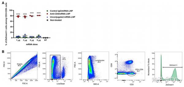 【文献翻译】使用工程化CD4+细胞归巢mRNA-LNPs的高效CD4+ T细胞靶向和基因重组 - 知乎