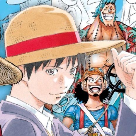 路飞的外貌在海贼世界里是好看的吗