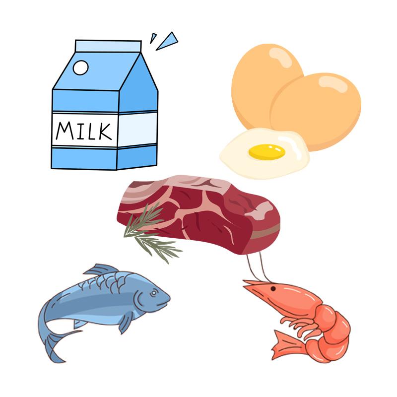 比如牛奶,鸡蛋,鱼虾,海鲜,牛羊肉等.