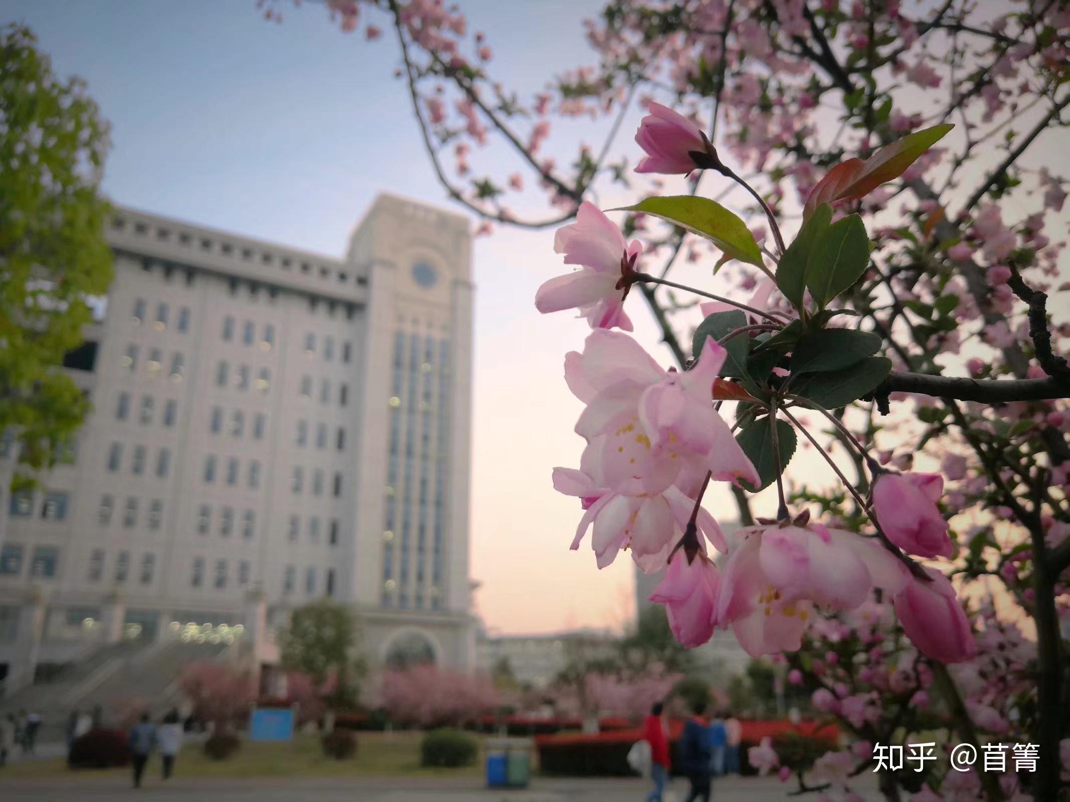 安徽农业大学有哪些难看的校园建筑