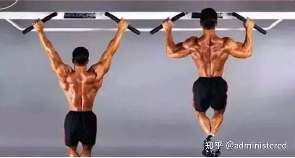 背部肌肉训练的深入解析(一) - 知乎