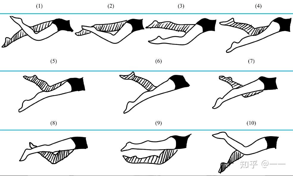 自由泳四次打腿慢动作图片