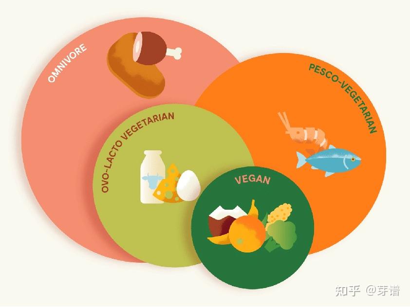 素食宝宝 VS 杂食宝宝 谁更健康?营养均衡才是关键! - 知乎