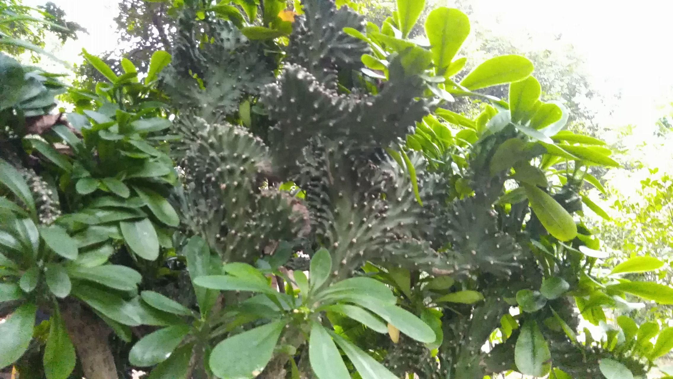 有哪些好看的锁屏壁纸