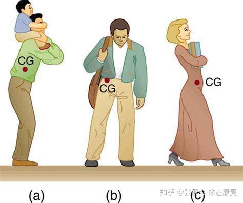 【案例分析】上肢不对称负重导致单侧腰痛的解决方案 - 知乎