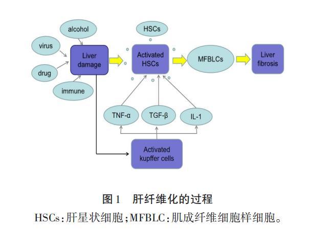 体检前怎么降低转氨酶_马上要体检如何快速降低转氨酶_抽血前应付体检降低转氨酶