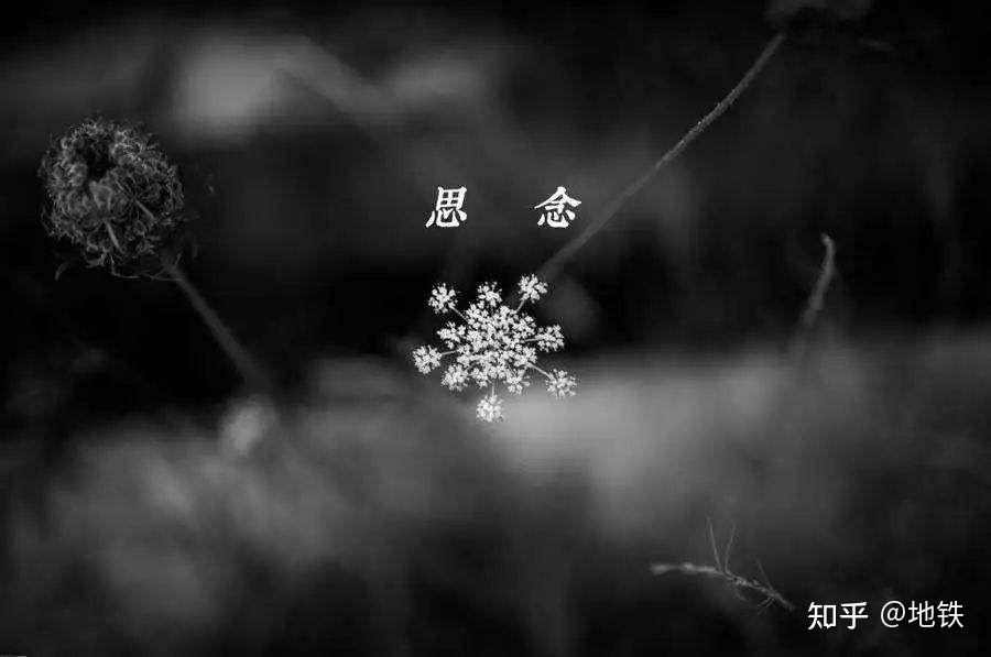 清明时节时时雨_清明时节雨纷纷 路上行人欲断魂的意思_时节清明时节雨纷纷