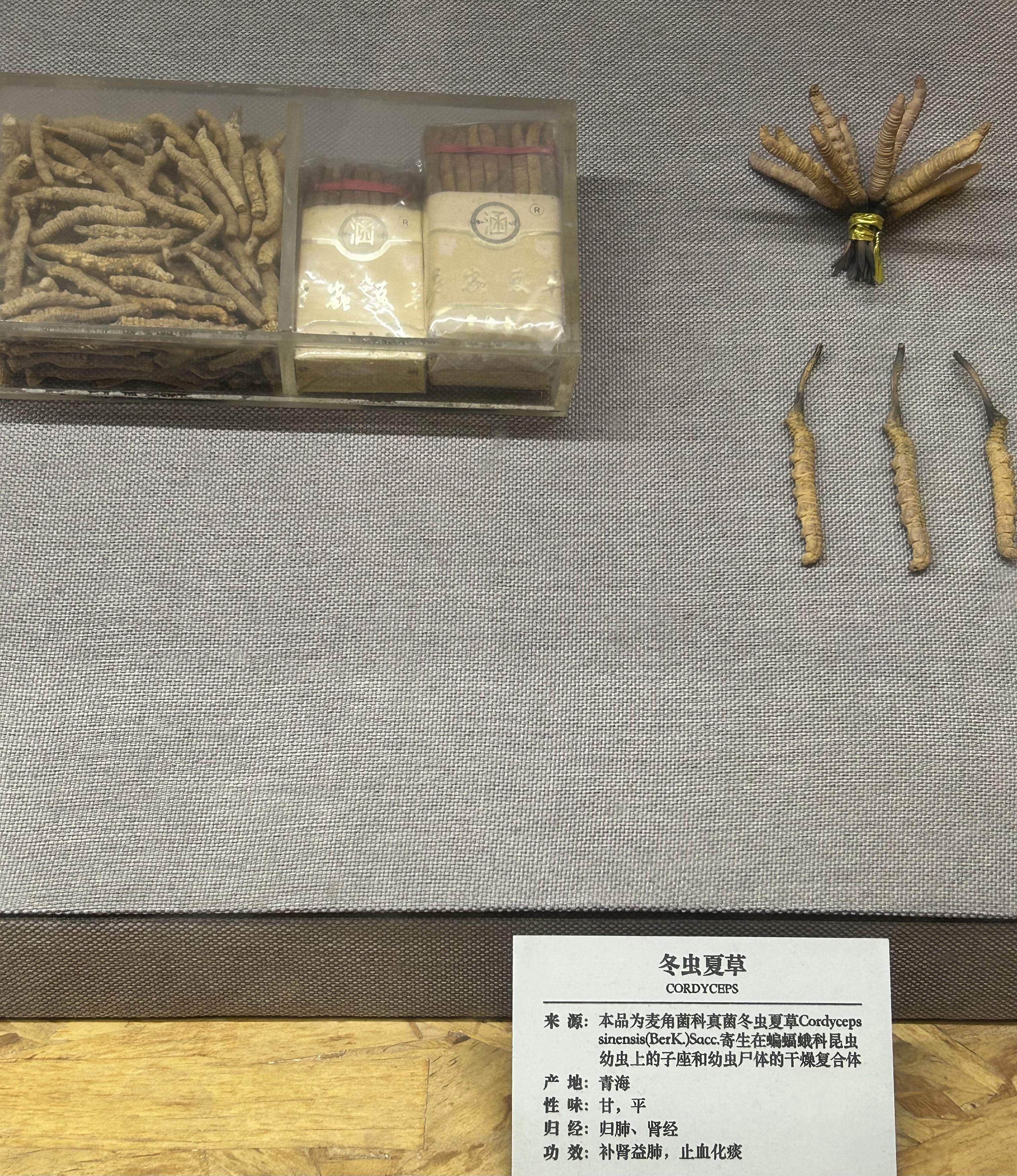 中医药博物馆参观记